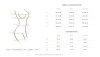 Blomentis stringi  M/L