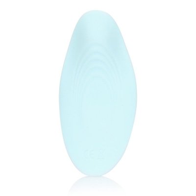 Panty Vibrator with Remote Control