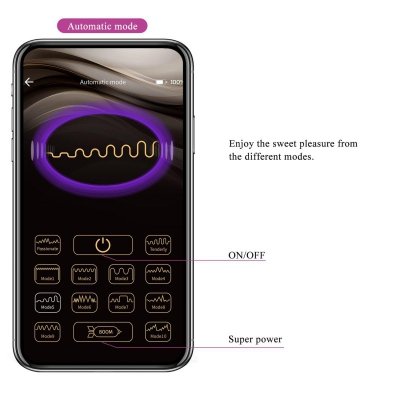 PRETTY LOVE -Kirk, 12 vibration functions Mobile APP remote control