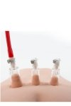 Pompka łechtaczkowa Temptasia Clitoris Pleasure System
