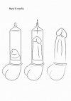 Wysokiej jakości pompka do penisa Deluxe Beginner Pump