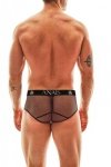 Eros brief S