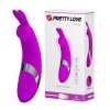 Pretty Love - Bunny usb 12 functions