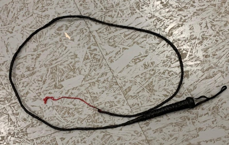 Kinky Fetish - mega whip - 225 cm - black