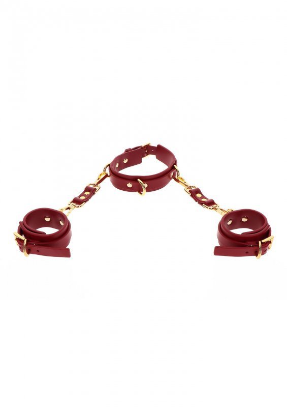 Kajdanki i obroża D-Ring Collar and Wrist Cuffs