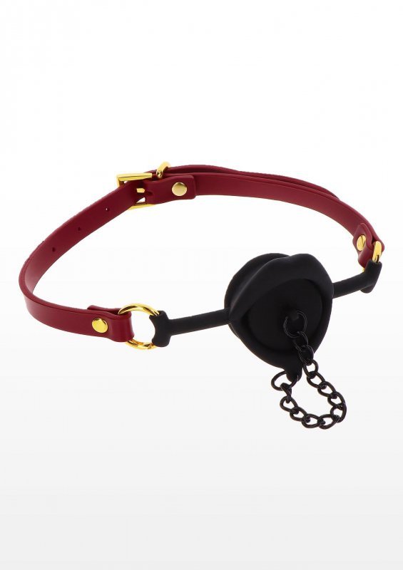 Kinky gag with plug