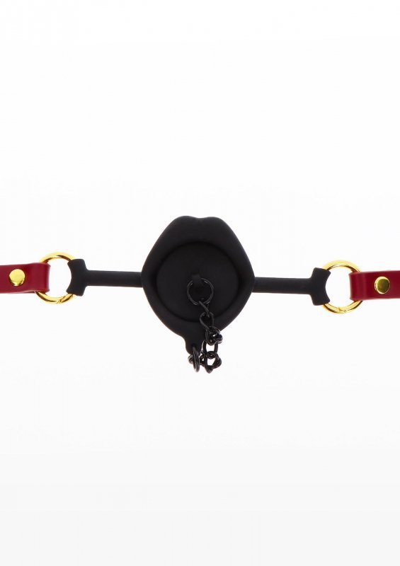 Kinky gag with plug