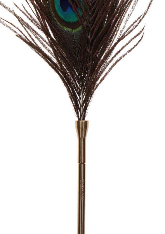 Pawie piórko do seksu igraszek Peacock Tickler