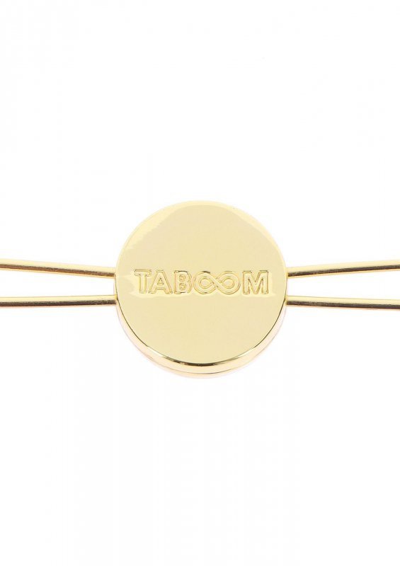 Klipsy na sutki piersi Contemporary Nipple Spoke Gold