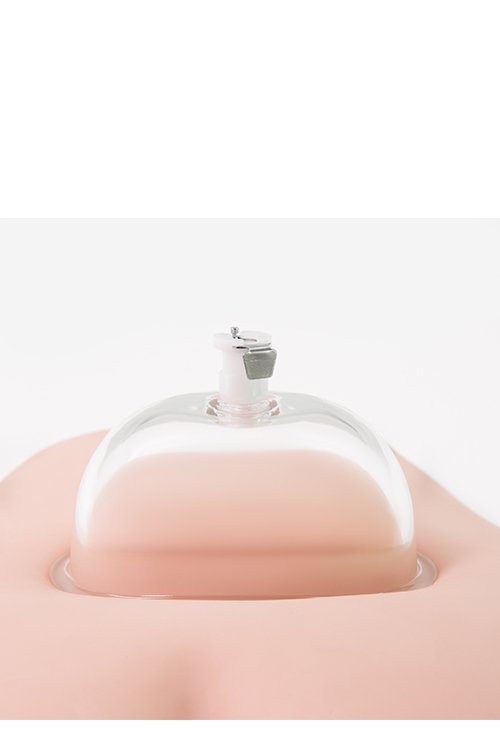 Temptasia intense pussy pump system