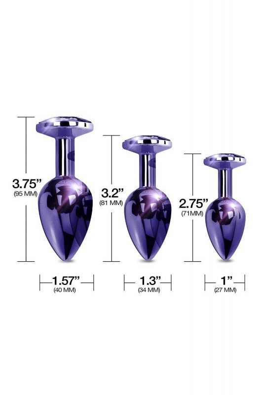 Nixie metal butt plug trainer set, purple metallic