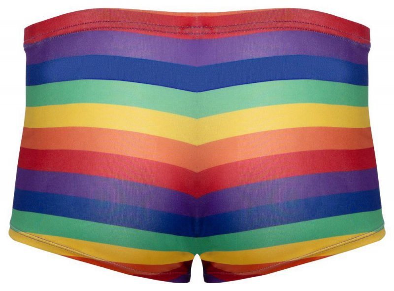 Seksowne bokserki męskie tęcza Men's Boxer Briefs Rainbow S