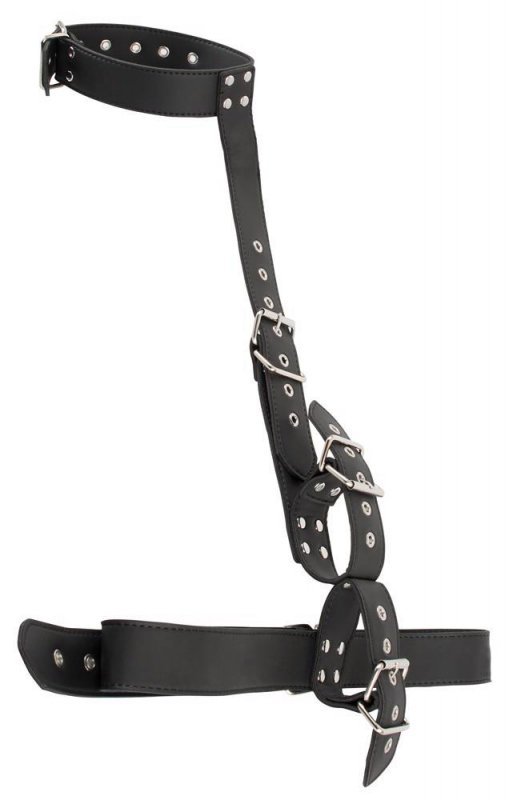 Neck wrist restraint vegan