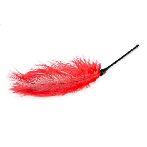 Pejcz Red Feather Tickler
