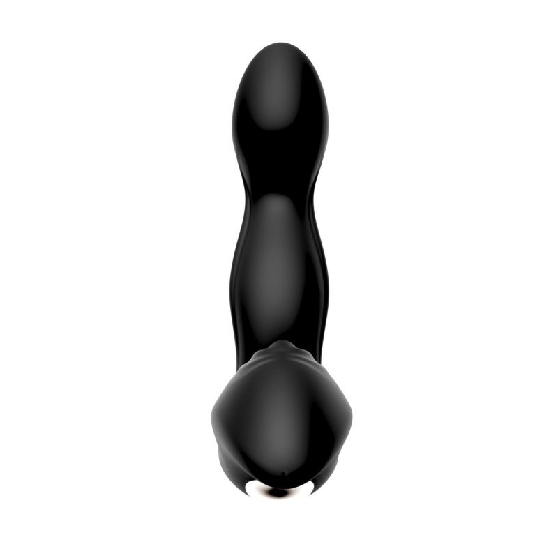 Multiple function prostate vibrator