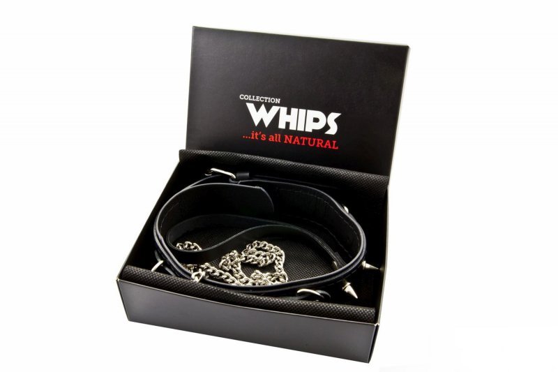 Whips obroża męska z ćwiekami i smyczą