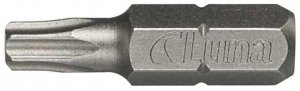 Groty Torx T25 (100 szt.)