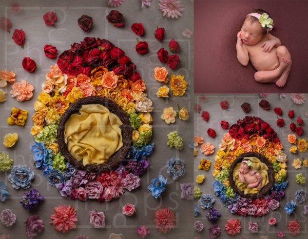 Tło cyfrowe tęczowe Kwiatowe JAJO wielkanoc / Newborn digital backdrop raibow baby 3