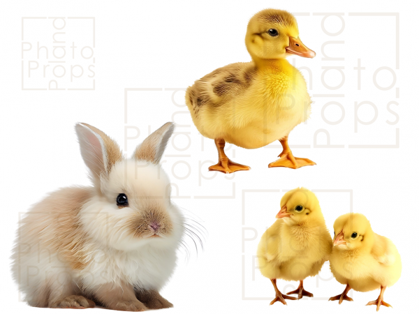  Wielkanocne zwierzaki png nakładki-gotowe cyfrowe kurczaki wielkanocne kaczka królik dla noworodka Fotografia rodzinna dla dzieci-mini sesje