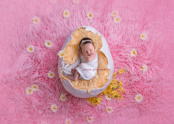 Newborn digital backdrop / tło cyfrowe Pink Egg