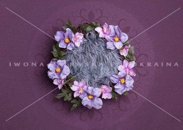 Newborn digital backdrop / tło cyfrowe violet