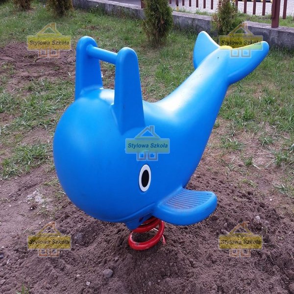 Bujak Delfin