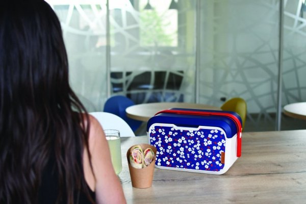 Mini lodówka turystyczna 5L KAMAI EDA wzór kwiat wiśni, lunchox na wkłady mrożące -  waniliowy korpus, czerwona rączka, błękitna
