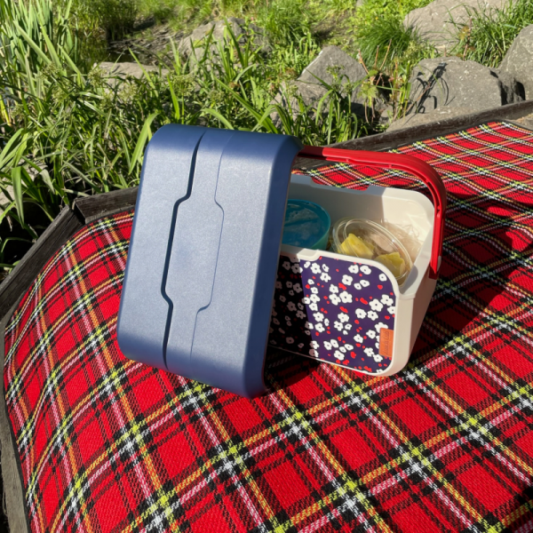 Mini lodówka turystyczna 5L KAMAI EDA wzór kwiat wiśni, lunchox na wkłady mrożące -  waniliowy korpus, czerwona rączka, błękitna