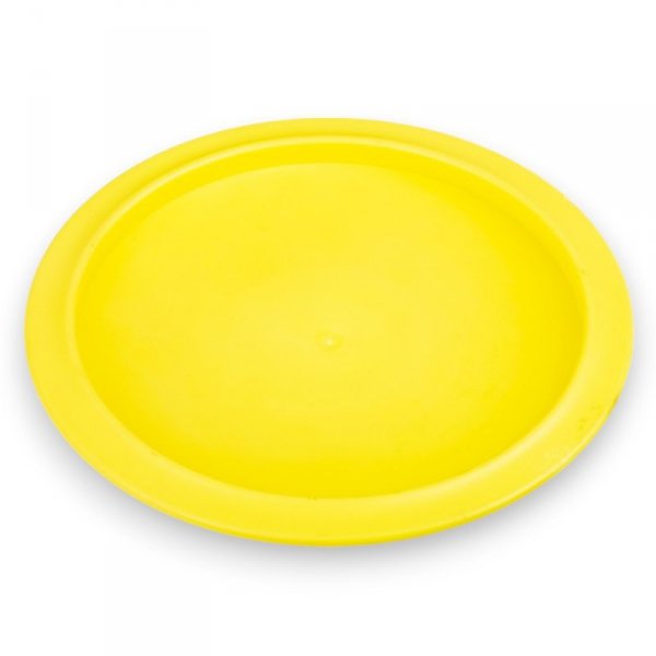 Latający dysk do Disc Golfa inSPORTline Driver