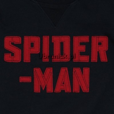 Bluza Spiderman czarna