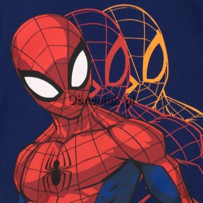 Bluza Spiderman 