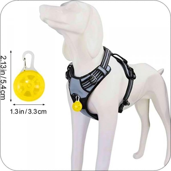 H2_tds0489_Lampka Led na obroże dla psa kota