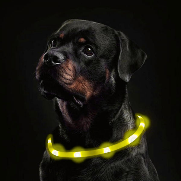 B18_tds0518_Obroża LED YELLOW 70CM