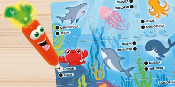 Lisciani Zestaw edukacyjny Carotina Baw się i ucz