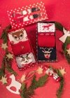 Milena Vánoční krabička pánských ponožek A'3