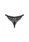 Maderris stringi  M/L