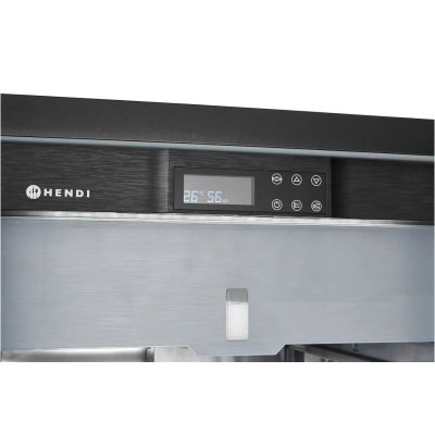 Szafa do sezonowania dojrzewania mięsa 233 l 170 W 595x760x1270 mm