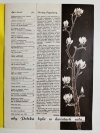 KWIATY NR 3/1979