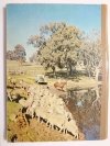 AUSTRALIA THE ISLAND CONTINENT 1970