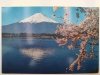 LAKE KAWAGUCHI FUJI AND CHERRY TOKIO