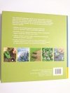 PIĘKNY OGRÓD W PÓŁ GODZINY 2009