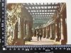 WROCŁAW. PERGOLA W PARKU