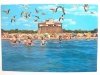 MARINA DI CASTAGNETO CARDUCCI. DONORATICO