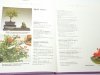 BONSAI Z ROŚLIN POKOJOWYCH - Horst Stahl 2006