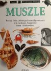 PATRZĘ, PODZIWIAM, POZNAJĘ – MUSZLE - Alex Arthur