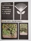 WARZYWA KORZENIOWE W OGRODZIE I W DOMU. MARCHEW, PIETRUSZKA 