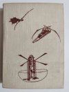 WIELCY I MALI TWÓRCY CYWILIZACJI - L. Sprague De Camp 1970