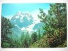 A AROLLA (VALAIS) LE MT. COLLON