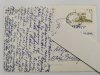 ŻEGIESTÓW. PIĘĆ UJĘĆ FOT. J. ŻAK