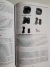 ANATOMIA STOMATOLOGICZNA WOELFELA
